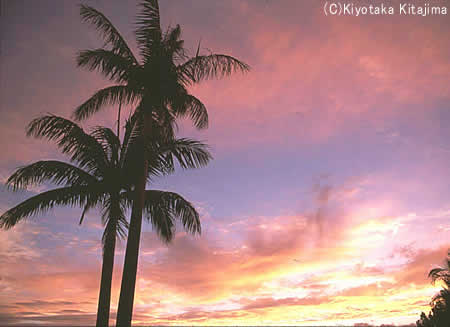 003小浜島：雲の彩